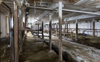 America’s Dairyland, Wisconsin, hemorrhaging family-scale farmers