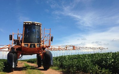 Farmer Takes Bayer/Monsanto to Court for Crop Damage Caused by the Herbicide Dicamba