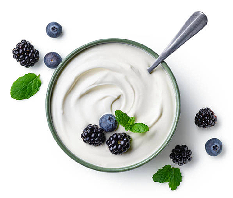 Mark Kastel’s recipe for homemade yogurt (made from fresh, unpasteurized milk)?