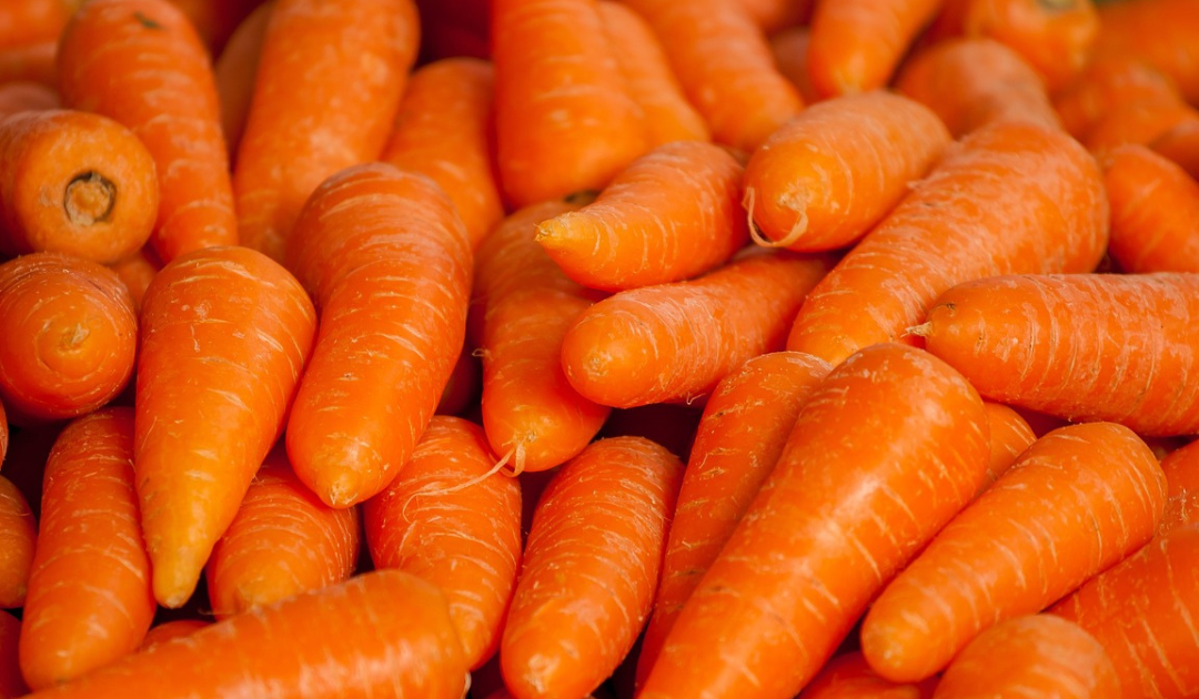 One Dead and 39 Sickened: CDC, FDA Announce Recall of Organic Carrots