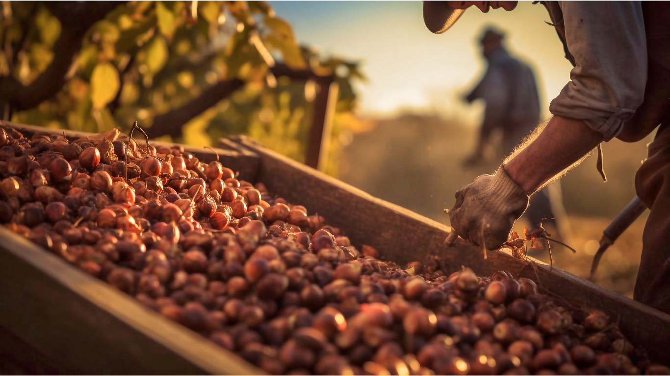 Oregon Hazelnut Farmer Files Appeal Fighting USDA Agency Allowing Imports from Uncertified, Uninspected ‘Organic’ Farms