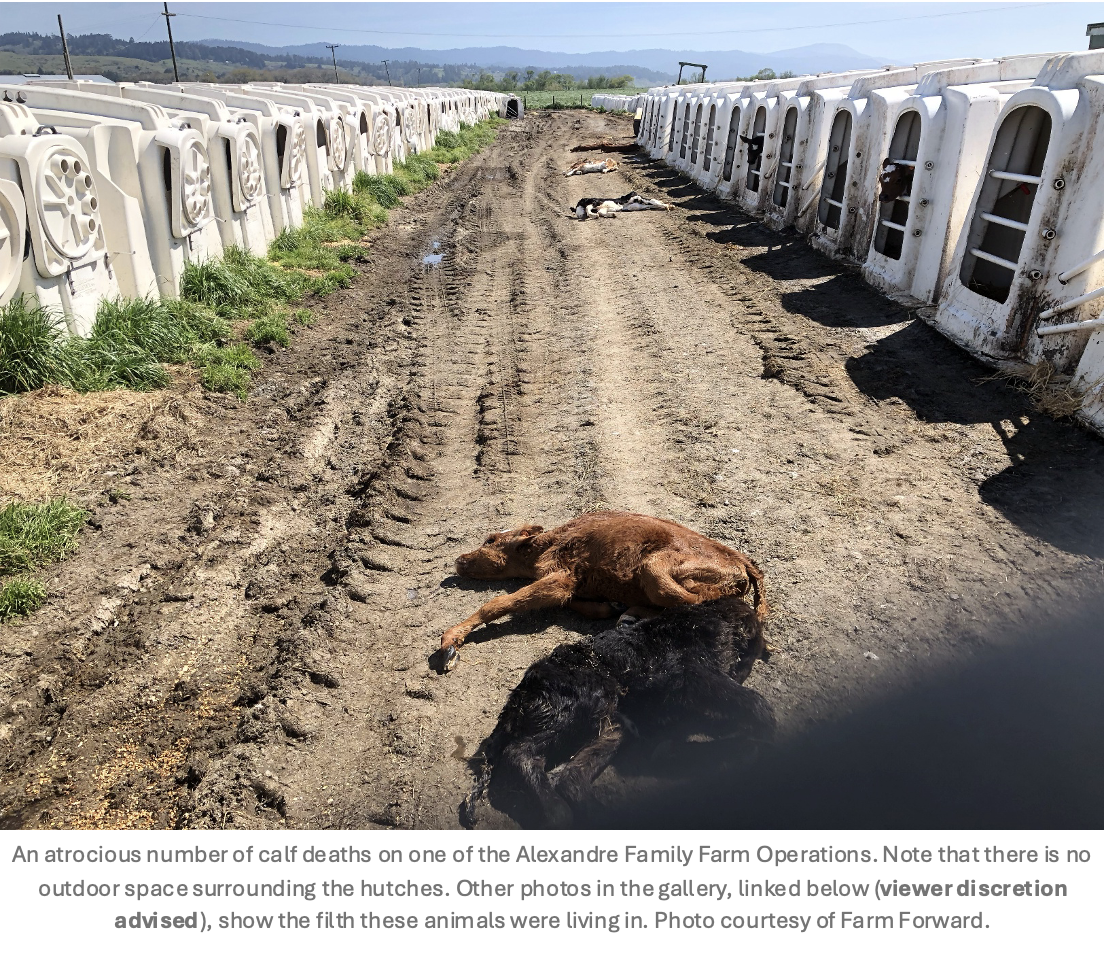 The Anatomy of a Scandal: Abject Failure by USDA to Protect Organics
