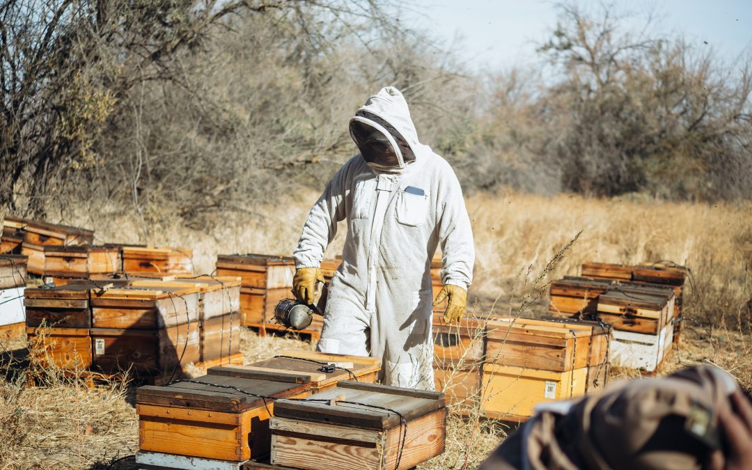 Failure by USDA to Enforce Federal Organic Law Prompts Lawsuit