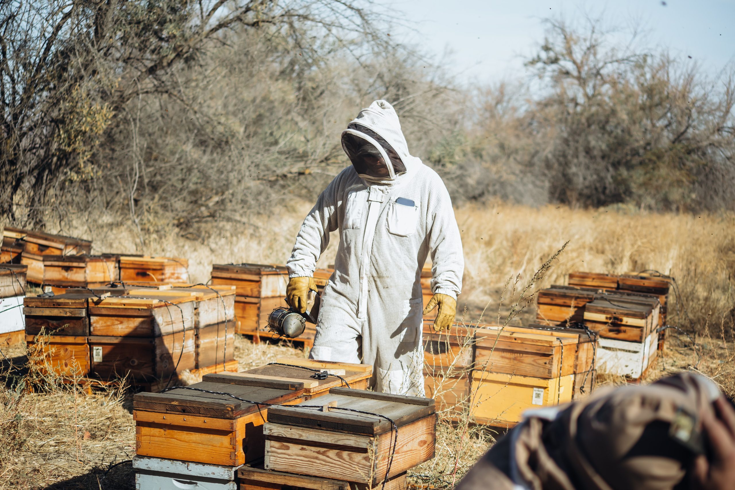 Failure by USDA to Enforce Federal Organic Law Prompts Lawsuit